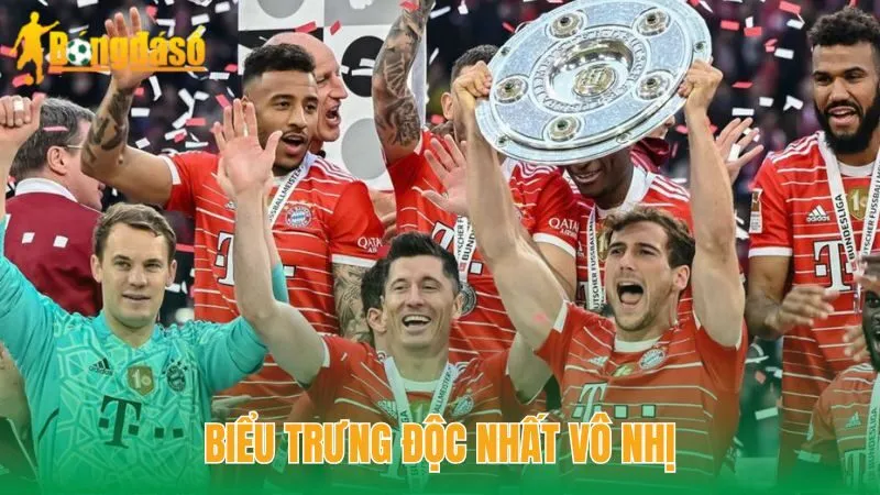 “Hùm xám” Bayern Munich – CLB 11 Lần Vô Địch Bundesliga