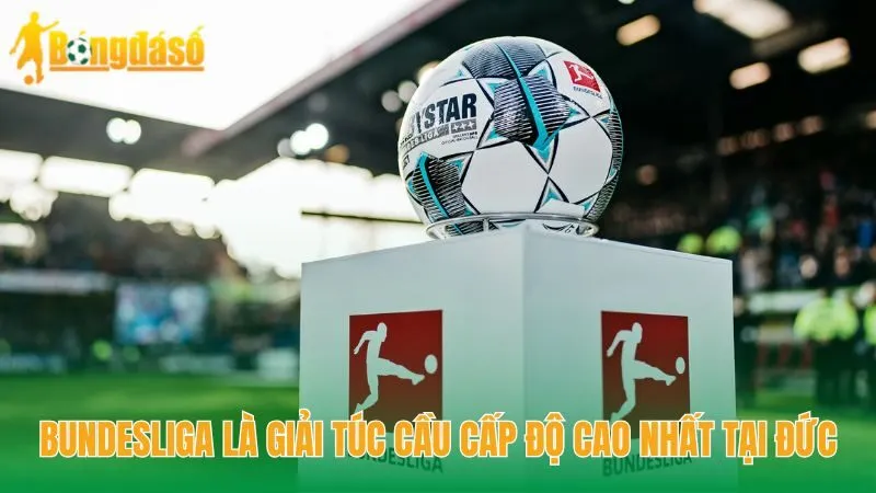 Bundesliga là giải túc cầu cấp độ cao nhất tại Đức