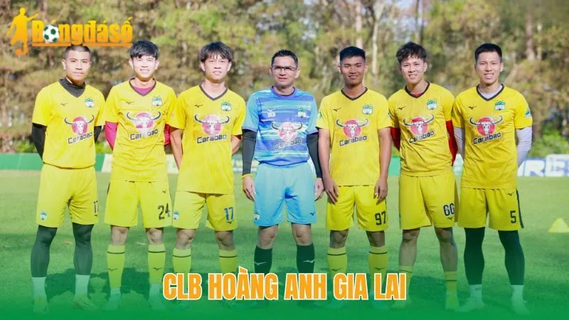 Hoàng Anh Gia Lai – “Dream Team” Tài Năng Của Bóng Đá Việt