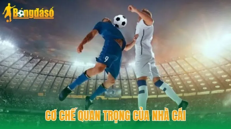 Cơ chế quan trọng của nhà cái