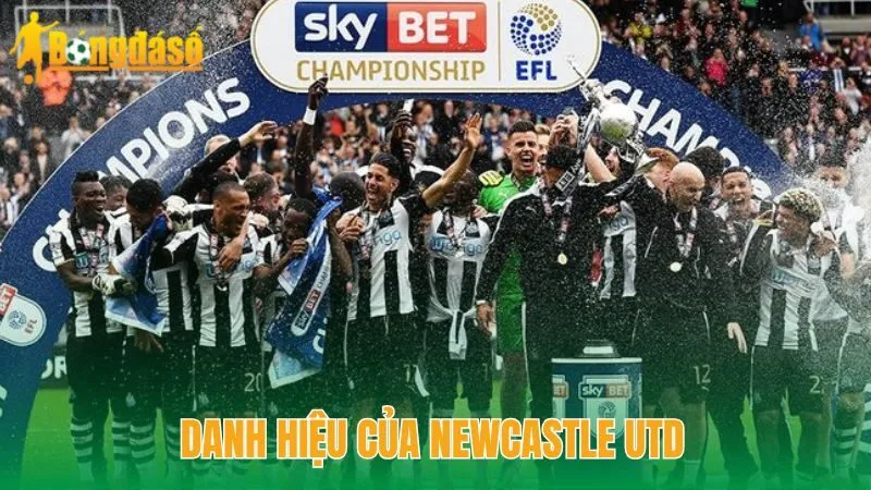 Newcastle United – Những Chú Chích Chòe Của Bóng Đá Anh