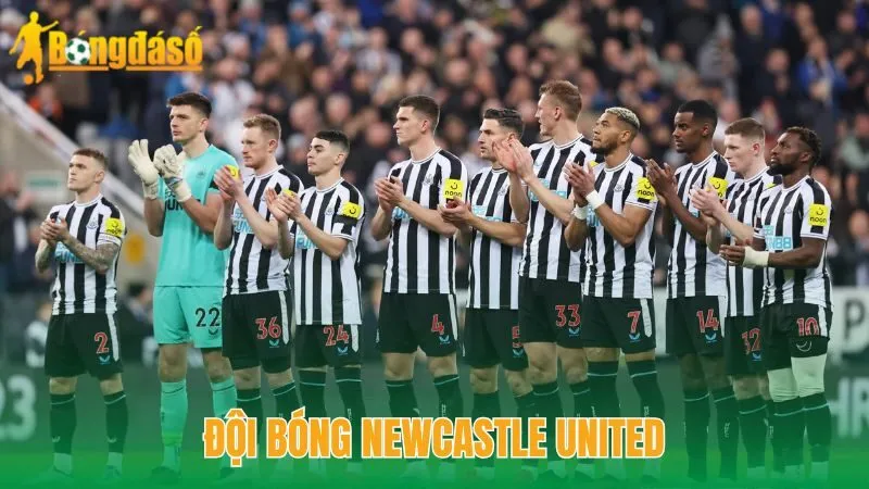 Đội bóng Newcastle United