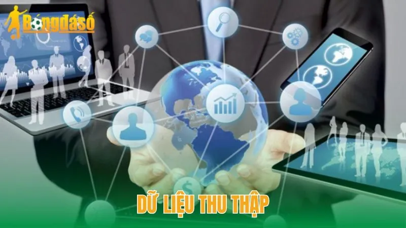 Dữ liệu thu thập