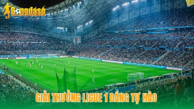 Giải thưởng Ligue 1 đáng tự hào