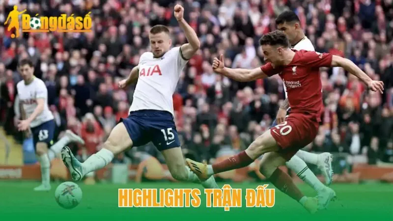 Highlights trận đấu