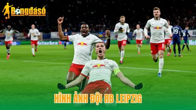 Hình ảnh đội RB Leipzig