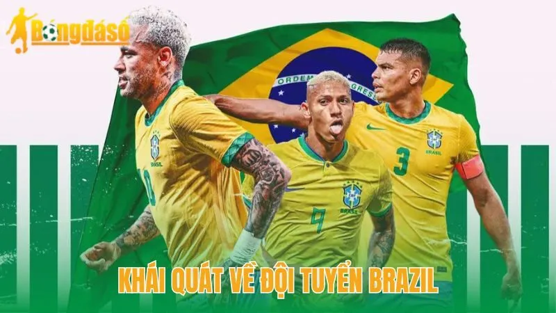 Khái quát về đội tuyển Brazil