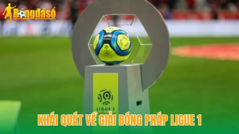 Khái quát về giải bóng Pháp Ligue 1