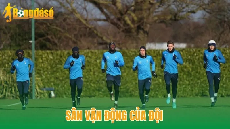 Sân vận động của đội