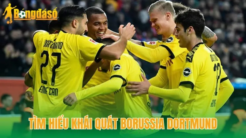 Tìm hiểu khái quát Borussia Dortmund