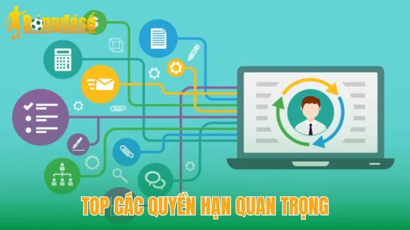 TOP các quyền hạn quan trọng
